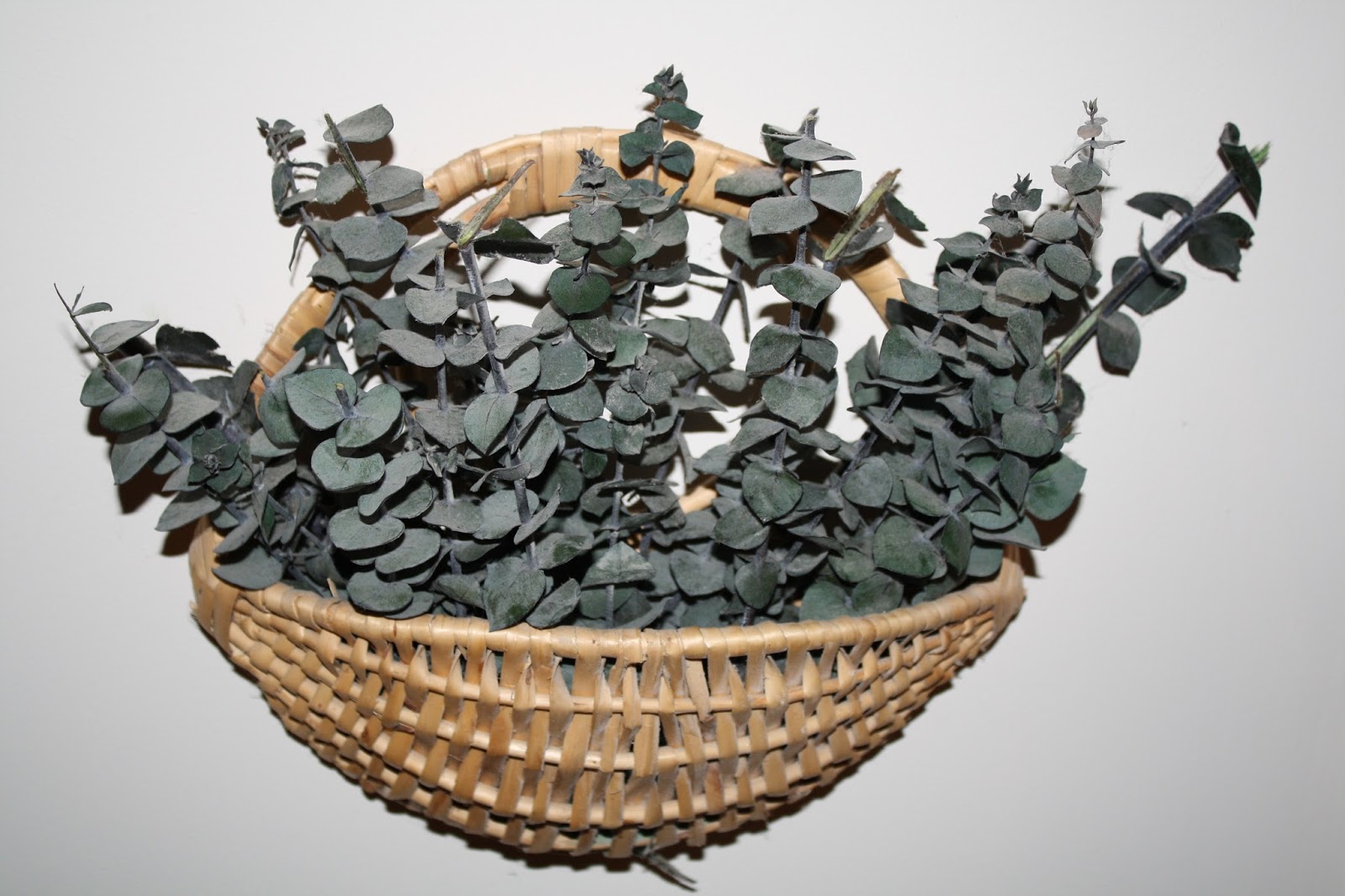 Health & Lifestyle Management The Sweet Smell of Eucalyptus