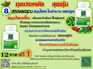  สมุนไพรใบย่านาง แคปซูล ThaiHerb ปรับสมดุล ลดอาการร้อนเกิน ลดกรดยูริก เกาต์