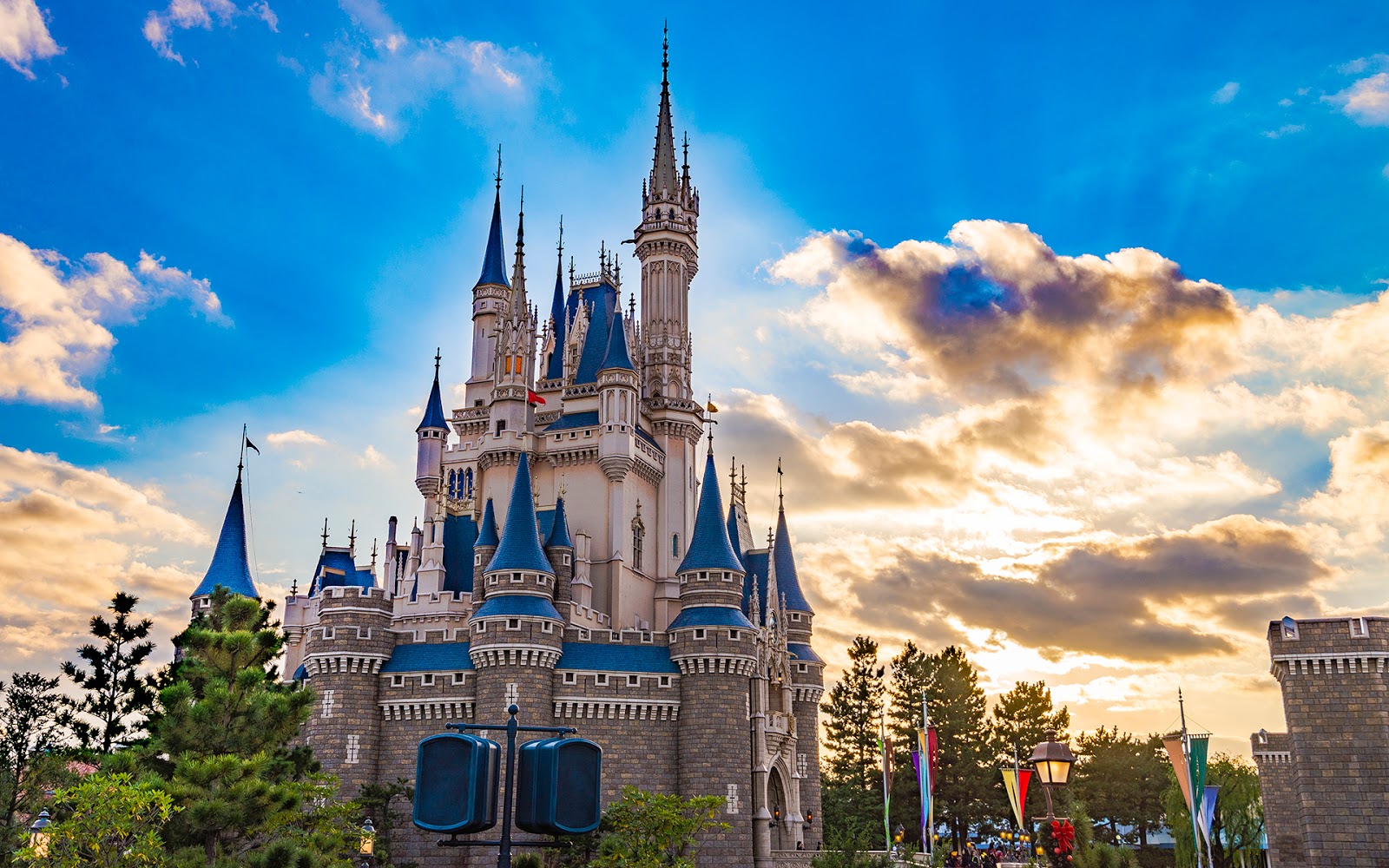 Cinderella Castle Captures