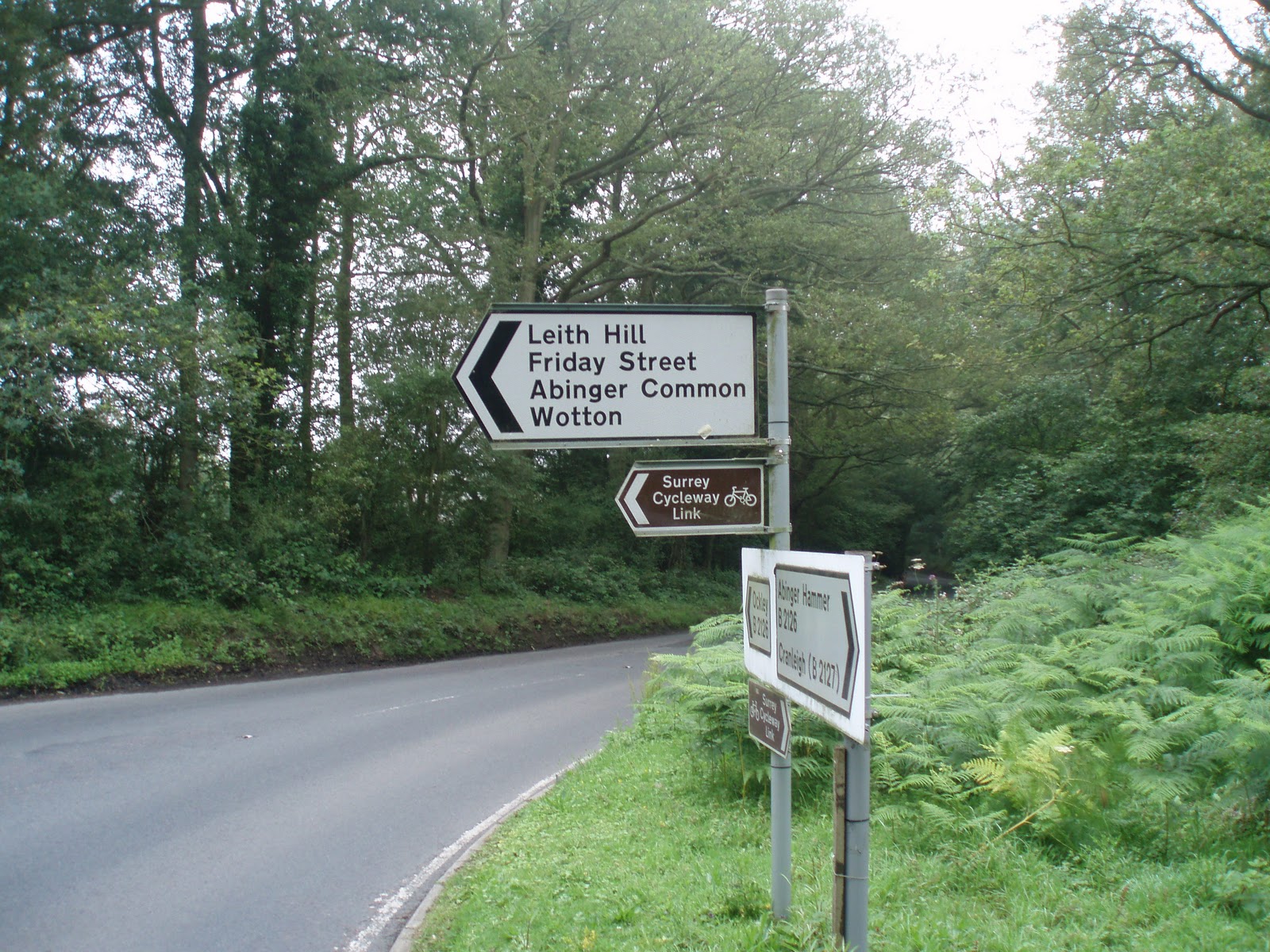 100 hills for Hill no 68 17 Leith Hill