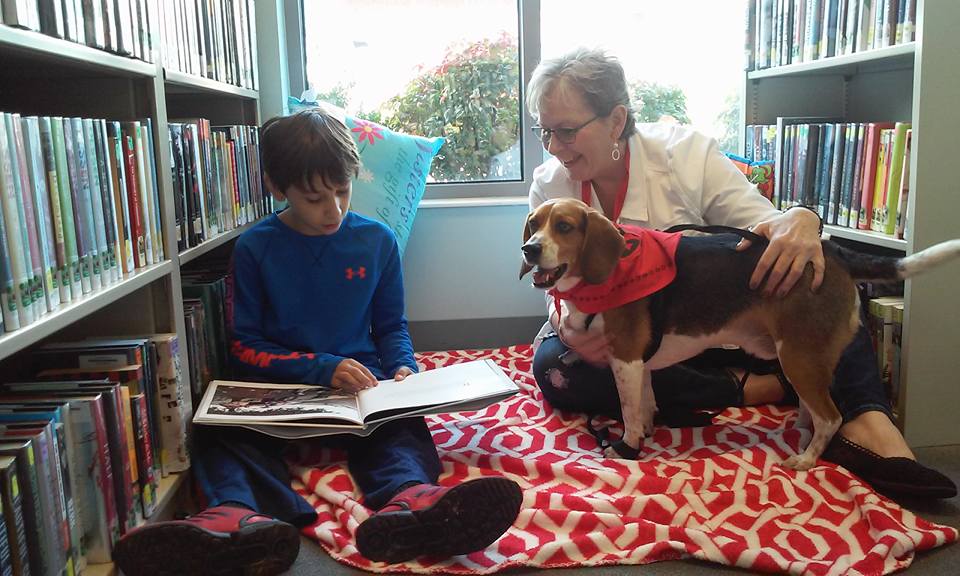 LUTTRELL PUBLIC LIBRARY LITERACY DEVELOPMENT