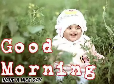 Good Morning Images Good Morning Images