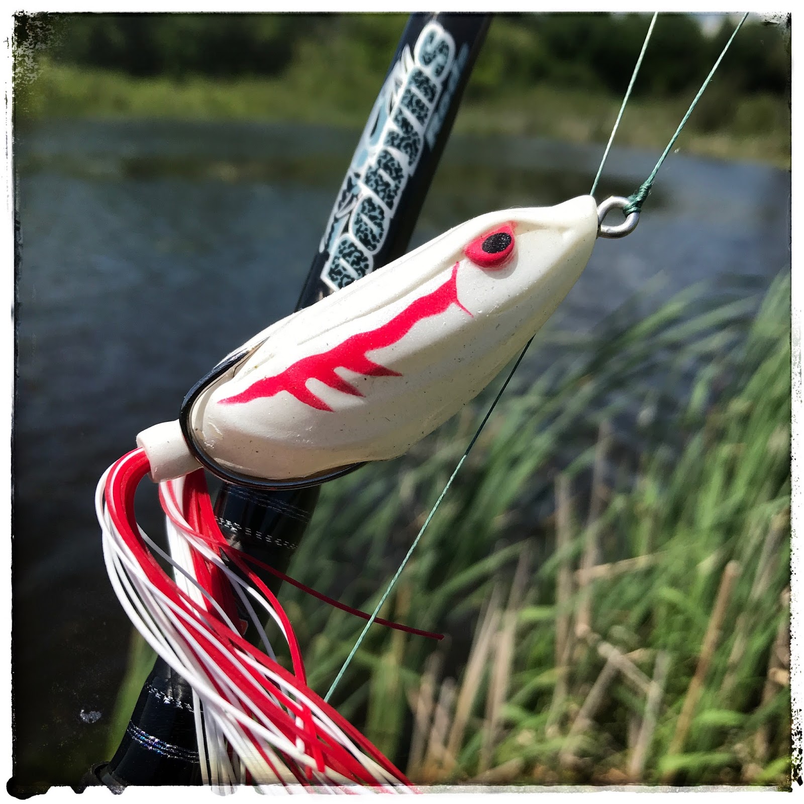 Bass Junkies Frog Pond: Castaic Boyd Duckett BD Frog Review