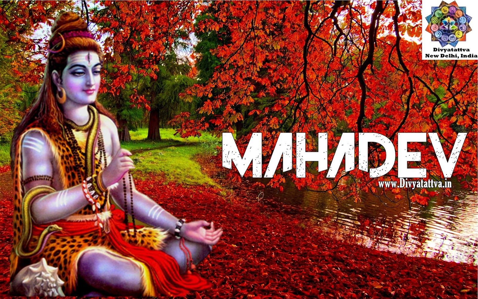 Lord Shiva Hd wallpapers 1920x1080 download Lord Shiva images, wallpapers,  photos & pics