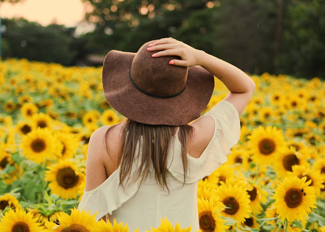 Sunflower Wallpapers in 4K - Pics-Directory Sunflower Wallpapers in 4K - Pics Directory