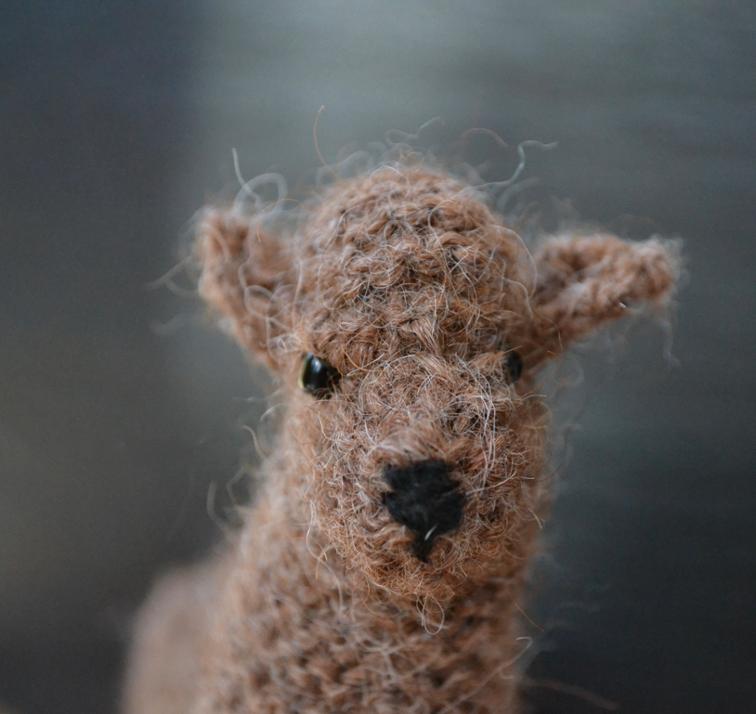 Alpaca