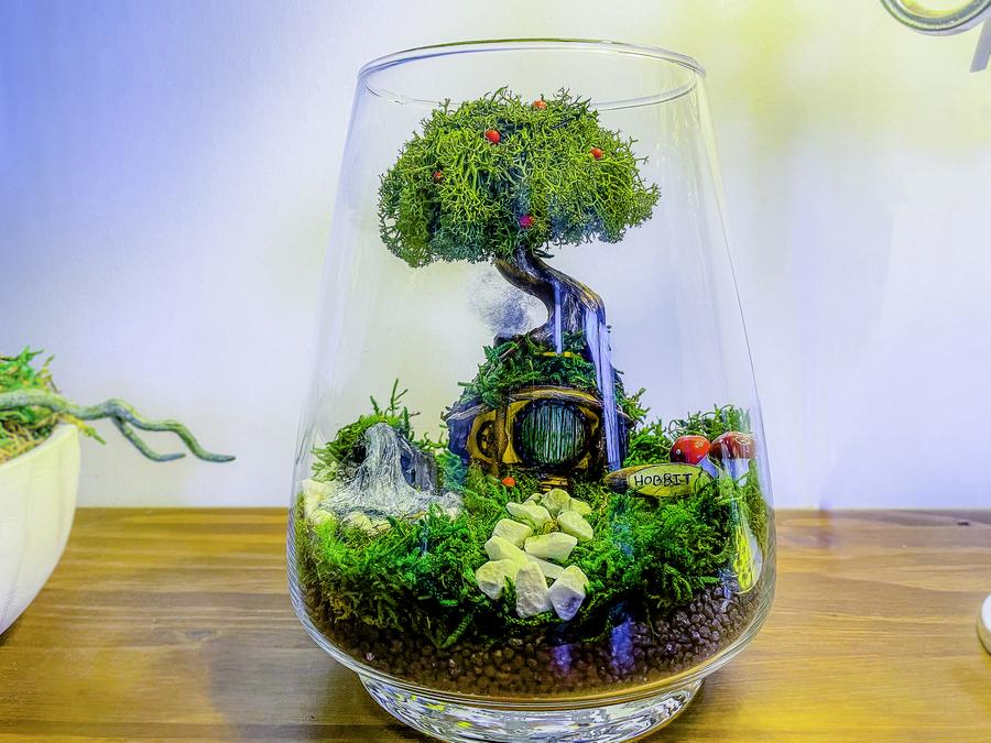 Terrarium, Moss Vivarium, No Maintenance Terrarium, Preserved Moss