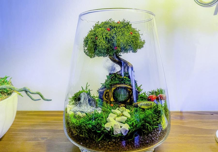 Terrarium, Moss Vivarium, No Maintenance Terrarium, Preserved Moss