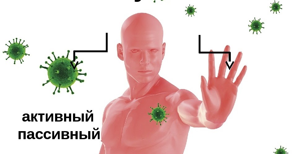 иммунитет человека. защита иммунитета. здоровый образ жизни на белом фоне. активный и пассивный иммунитет. иммунитет.