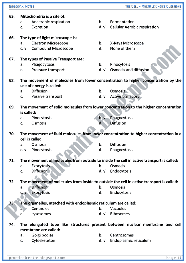 The Cell - Multiple Choice Questions (MCQs) - Biology XI