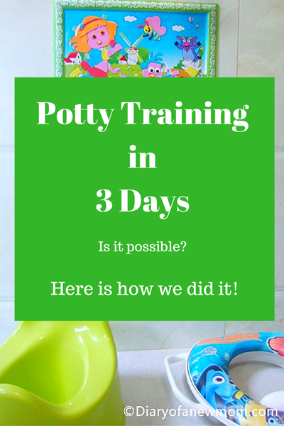 Potty Training in 3 Days 