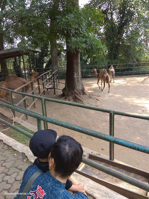 Bandung Zoo