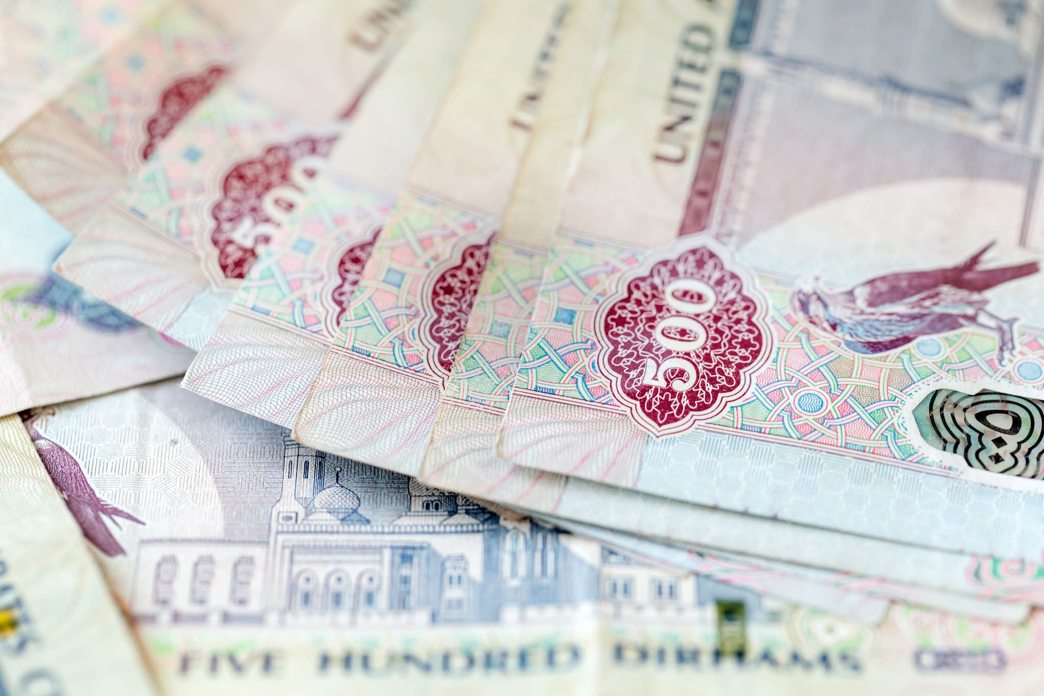 مصرف الإمارات المركزي يصدر نظاماً للبنوك المتخصصة