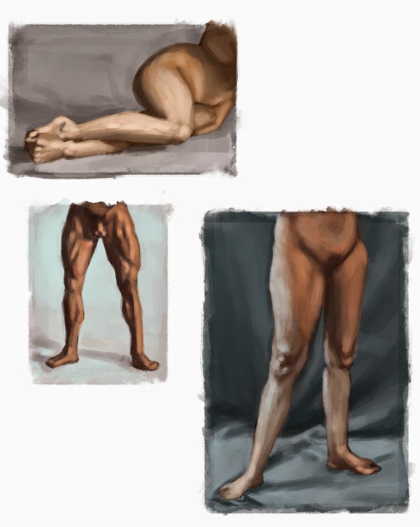 [Image: anatomy-legs-combo.jpg]