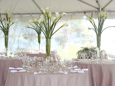 Labels Bernardo 39s Flowers Wedding Centerpiece Ideas