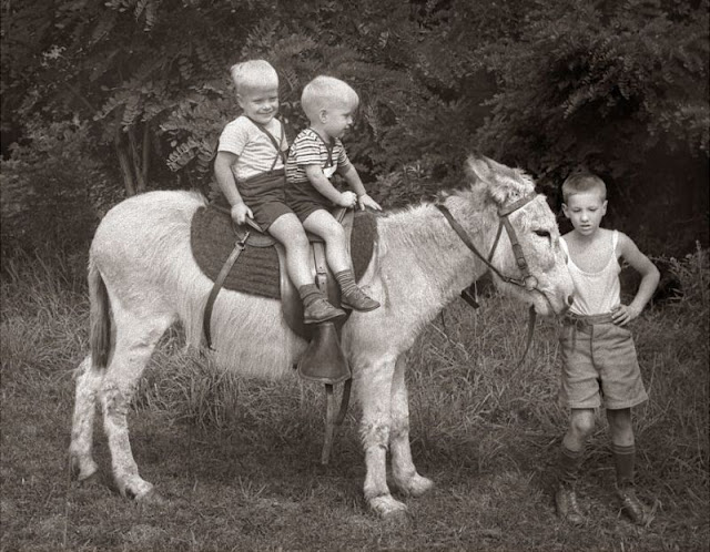 35 Adorable Vintage Photos of Children Posing With Their Beloved ...