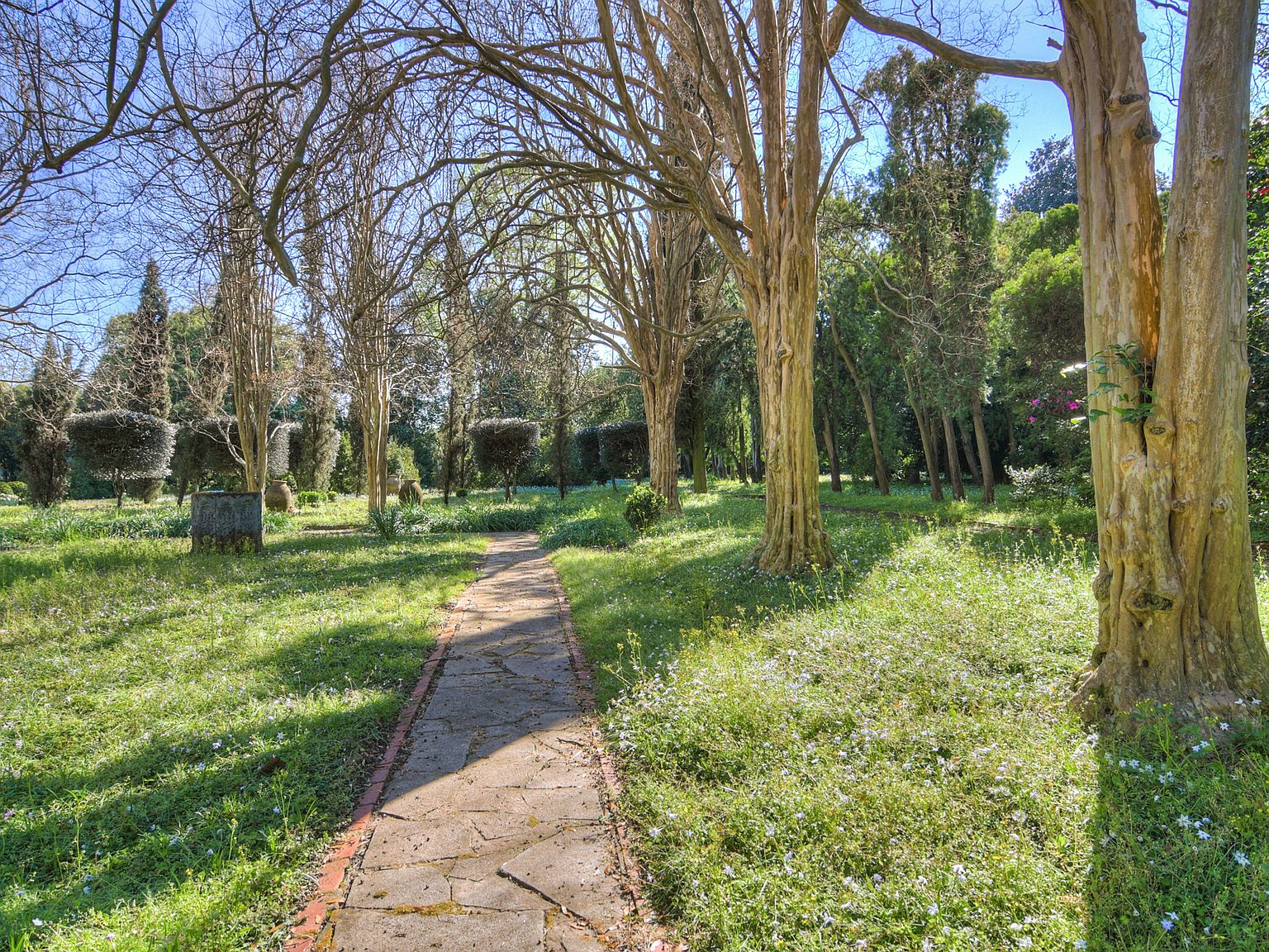 933 Milledge Road Update