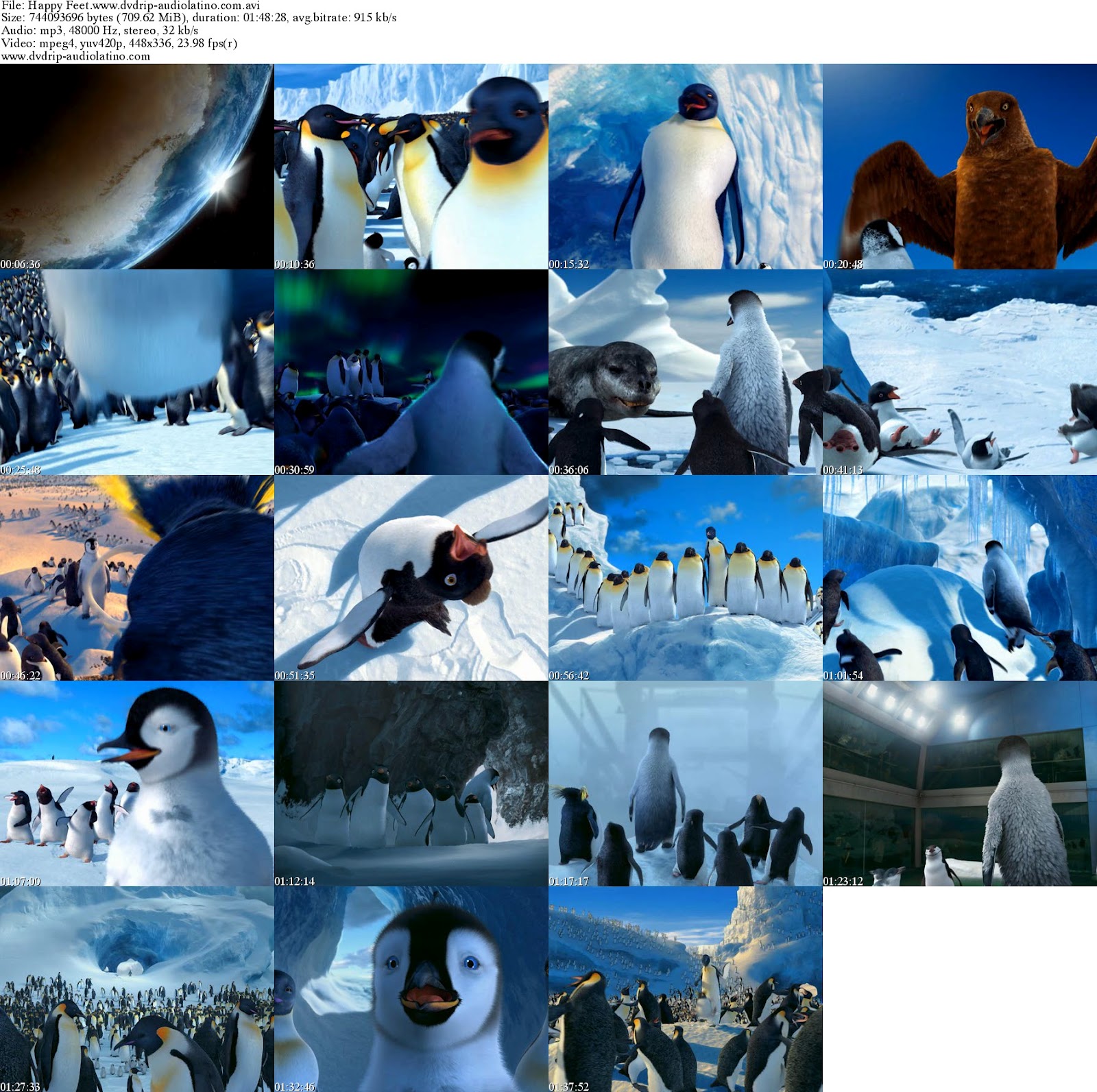 Happy Feet Xvid Dvd Busty Milf Interracial