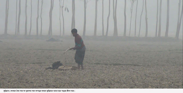 Kurigram11 life has become stagnant in the cold wave