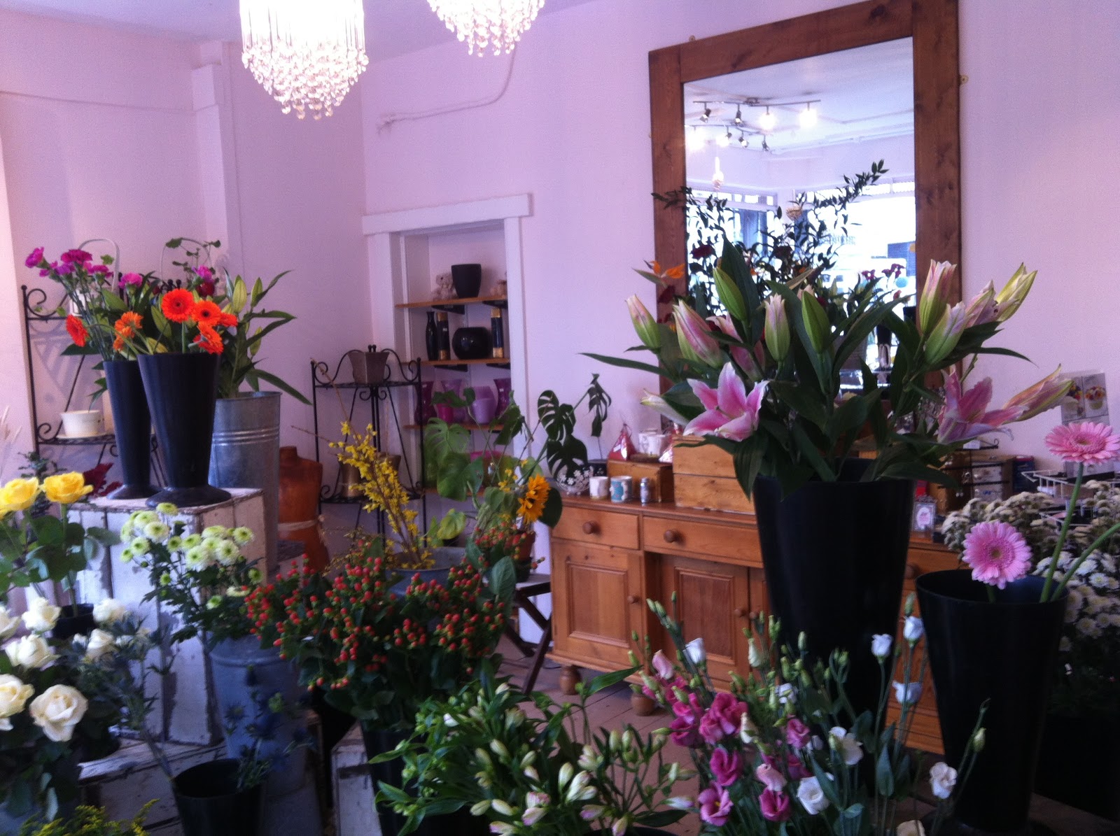 Lily Blossom florist Lily Blossom Florist East molesey