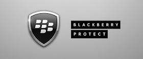 Fungsi dan manfaat blackberry protect