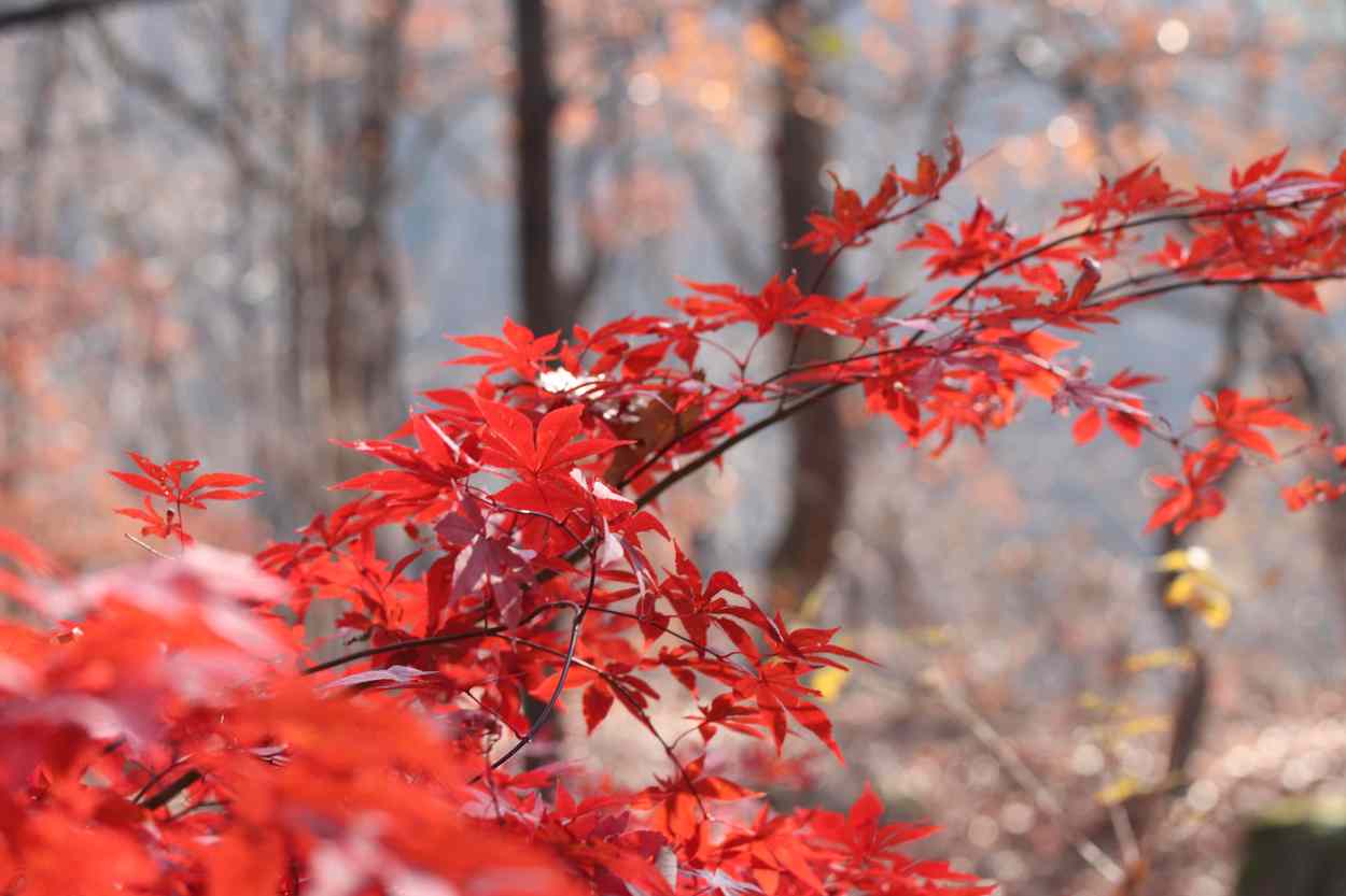 삼각산 도선사 삼각산 도선사