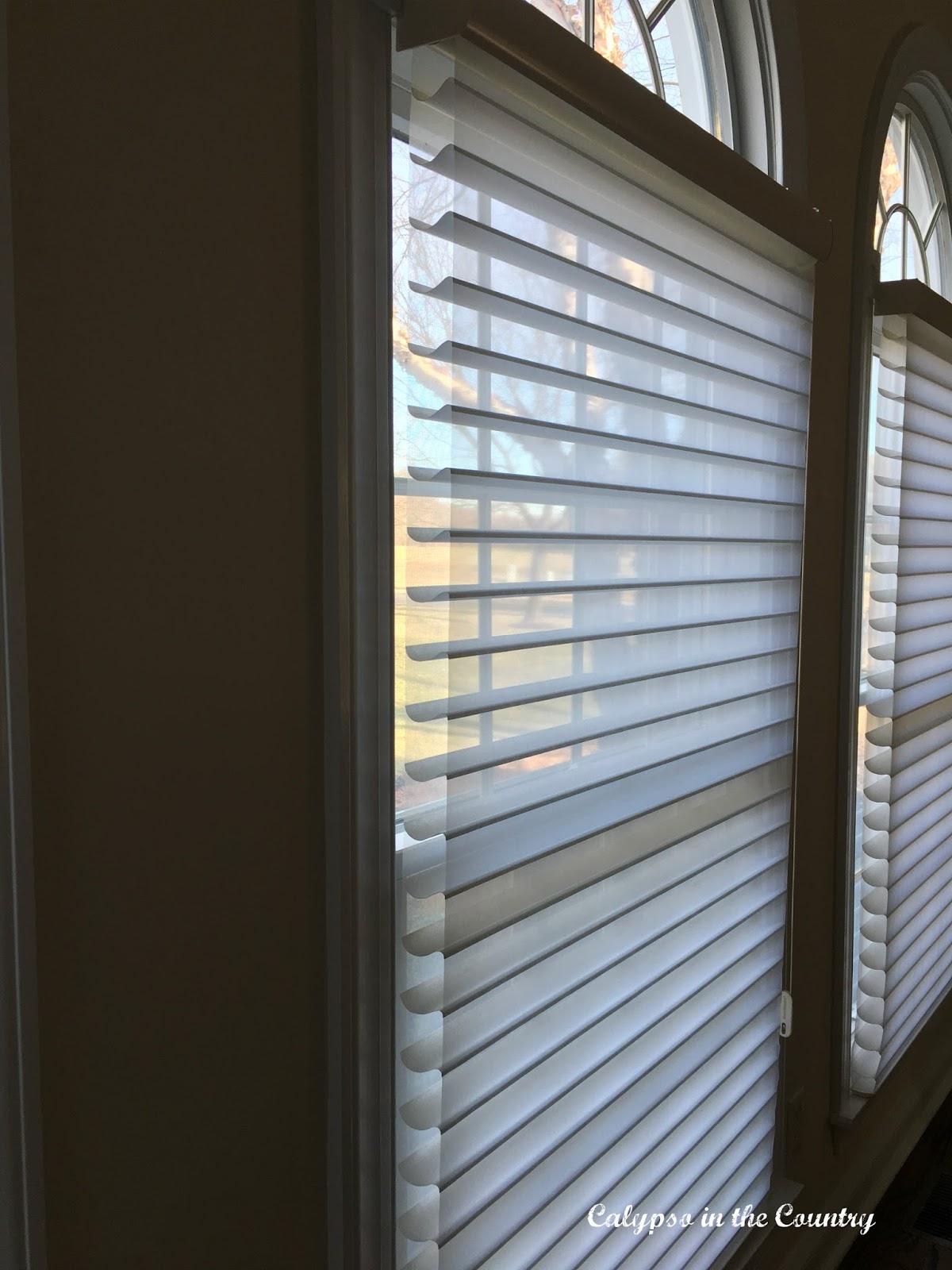 Shades side view Shades side view