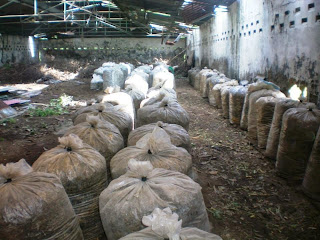 penyimpanan-silase-pakan-kambing penyimpanan-silase-pakan-kambing