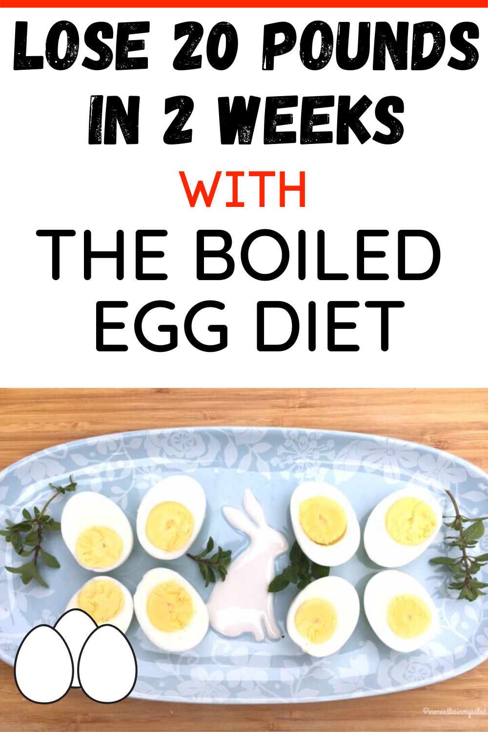 THE BOILED EGG DIET, HOW TO LOSE 20 POUNDS IN 2 WEEKS /HelloHealthyBlog/