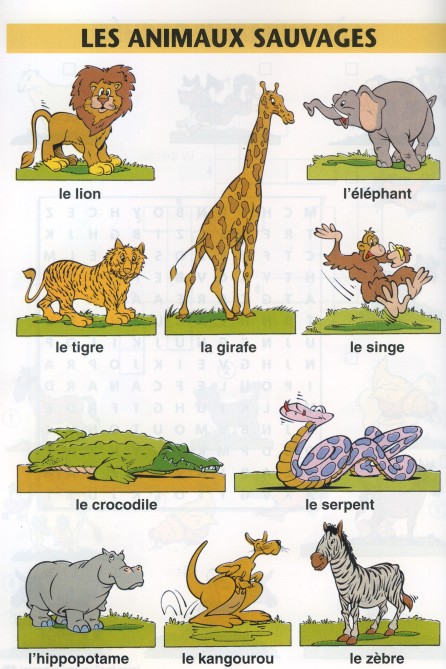 external image Les%2Banimaux%2Bsauvages.jpg