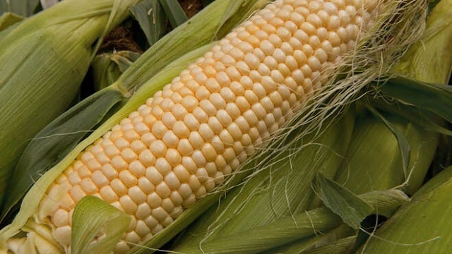 corn-benefits-health