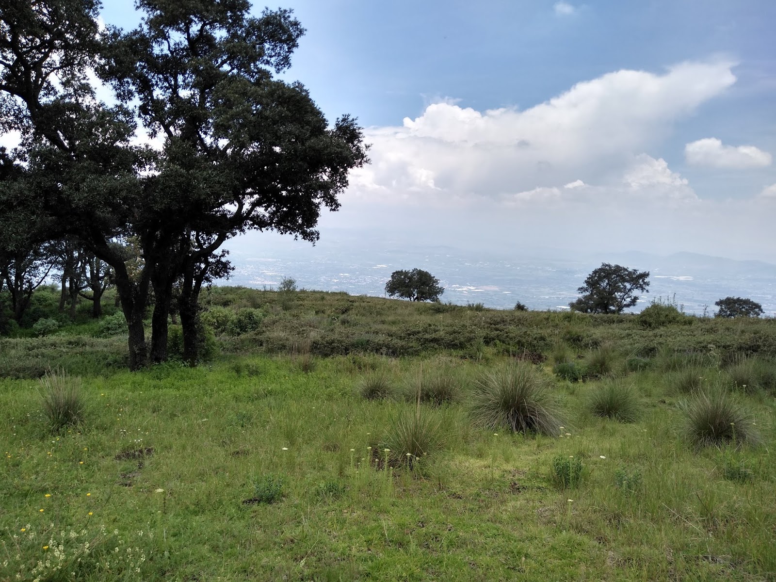 Cerro Gordo Estado de México.Agosto 2019