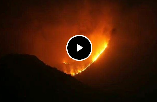 Bpbd Kebakaran Hutan Melanda Puluhan Gunung Di Garut