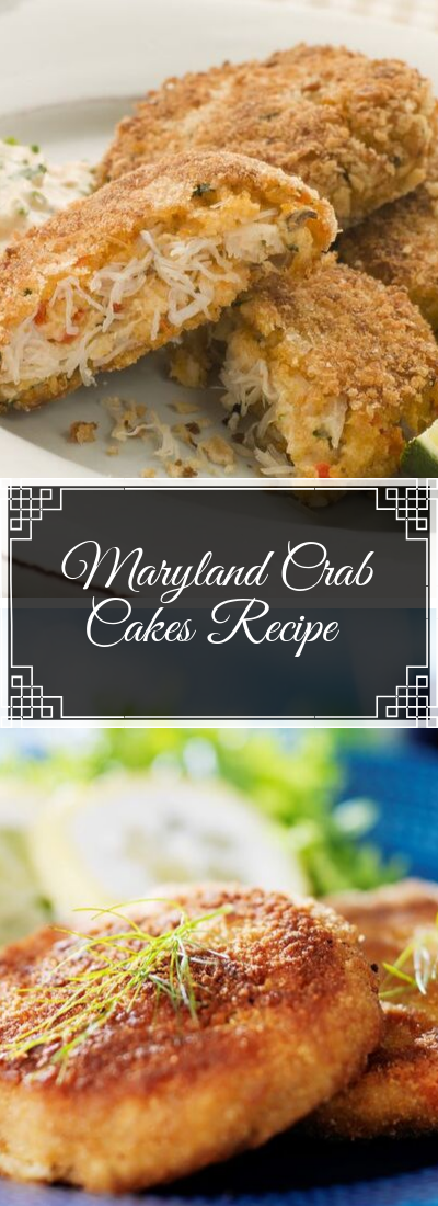 Maryland Crab Cakes Recipe - Food Today