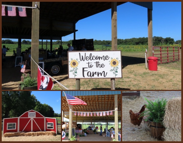 " to Lavender Dreams " How about a little Adventure? Let's