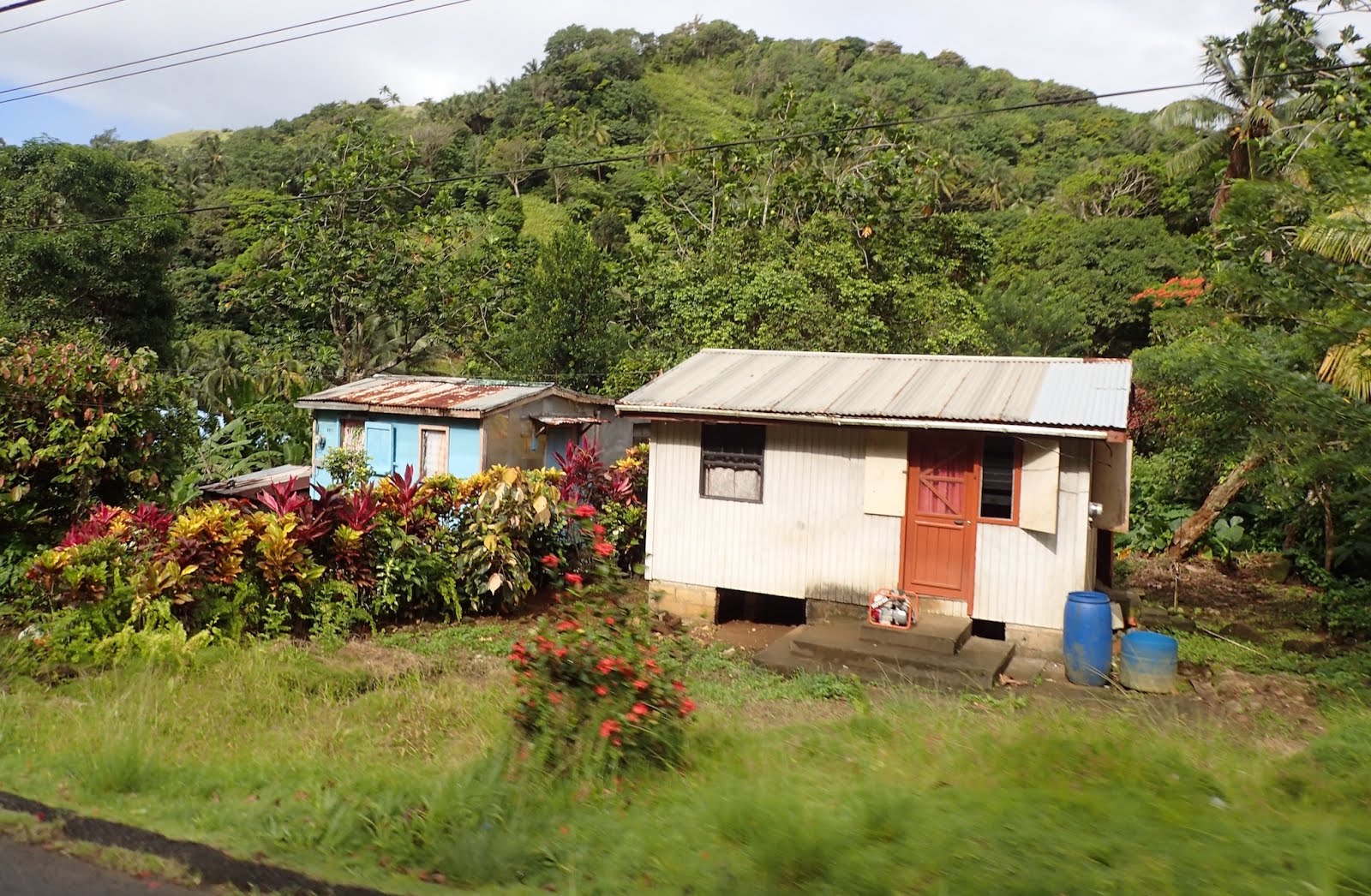 Things we did today... Dominica Just Scratching The Surface