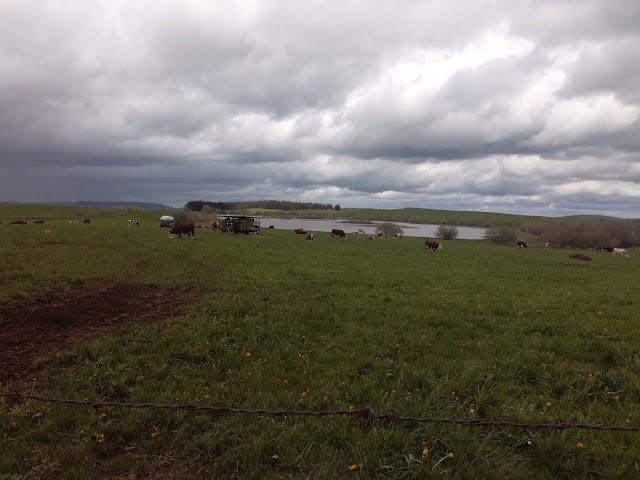 [CR] Le Tour des Vaches Rouges 27 et 28 mai 2019. IMG_20190528_134017