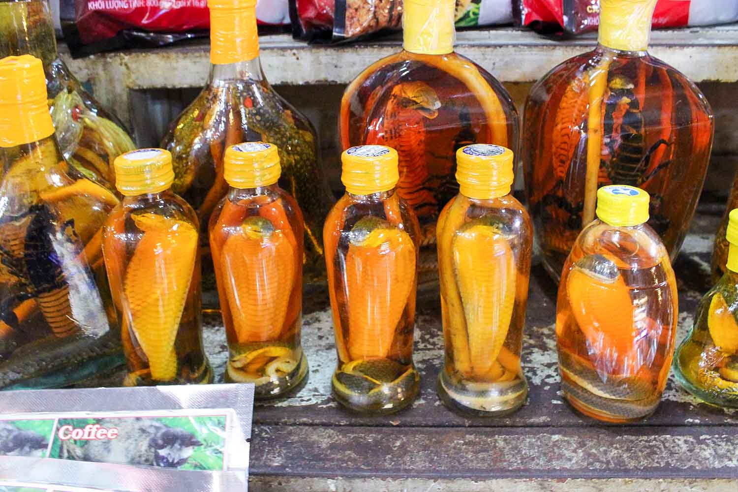 snake wine vietnam