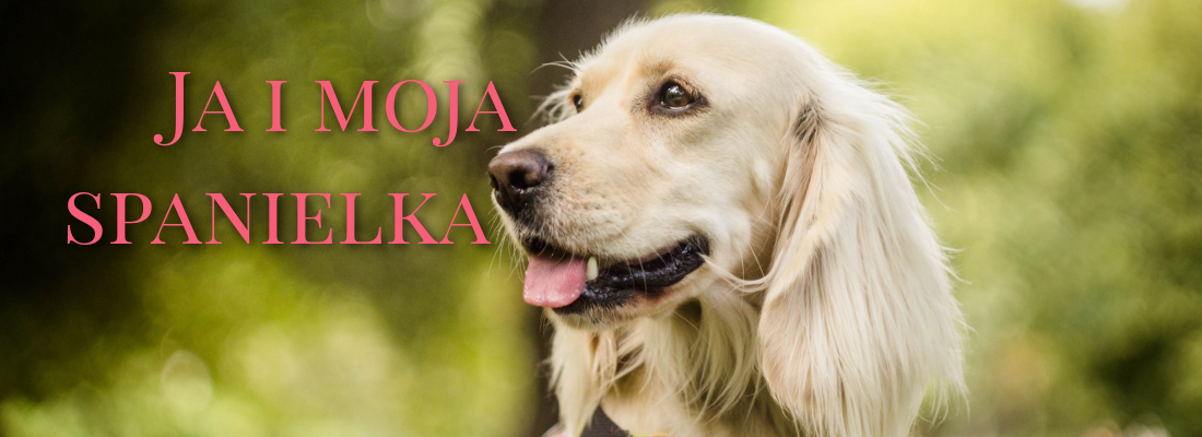 Ja i moja spanielka