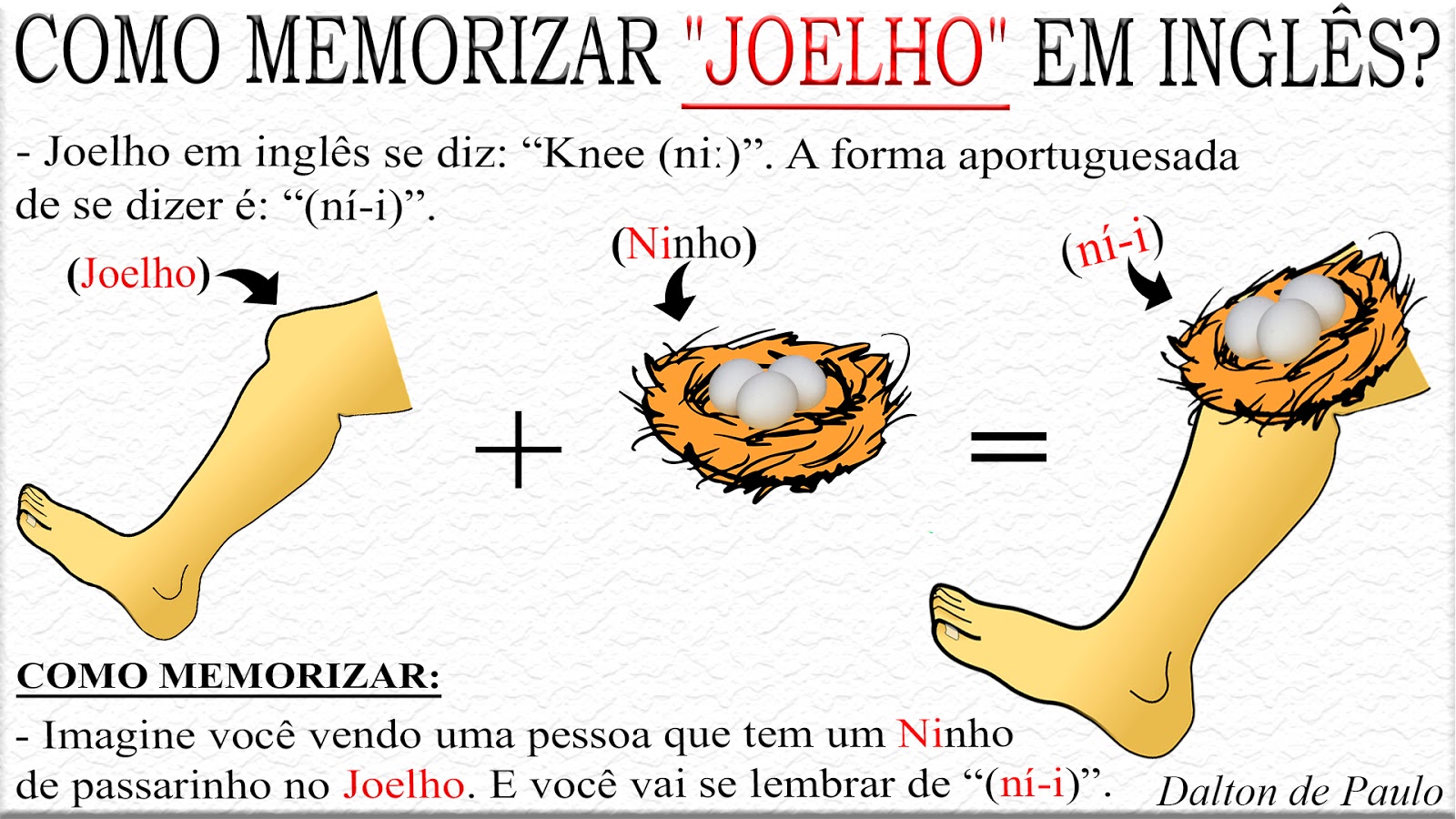 Como Se Escreve Passarinho Em Inglês