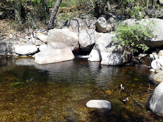 Ana Matalasviñas, aMatalasviñas, Piedralaves