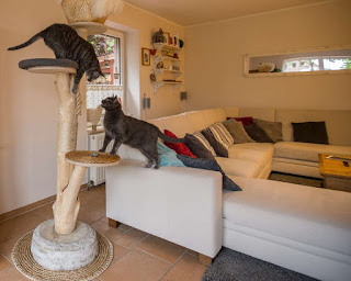 kratzbaum bauanleitung