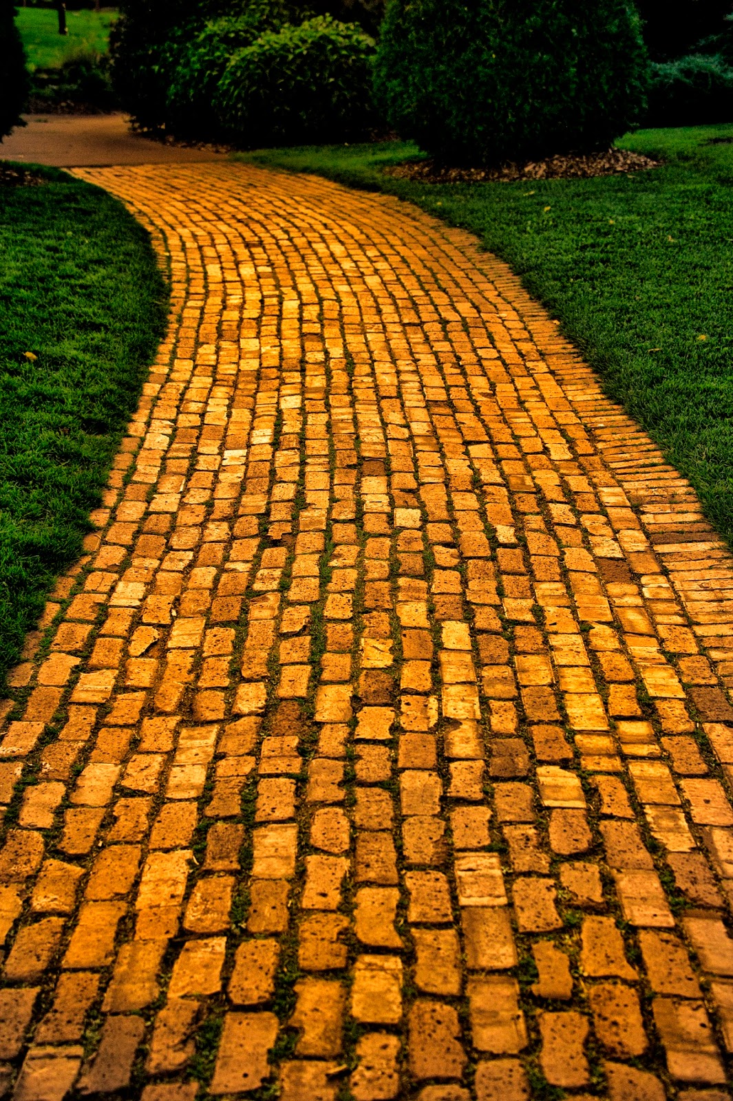 Shutterbugs Capturing The World Around Us Follow The Yellow Brick Road