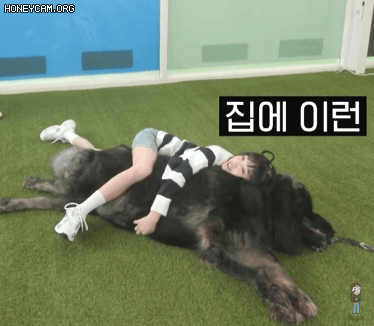 동물탐정 예나