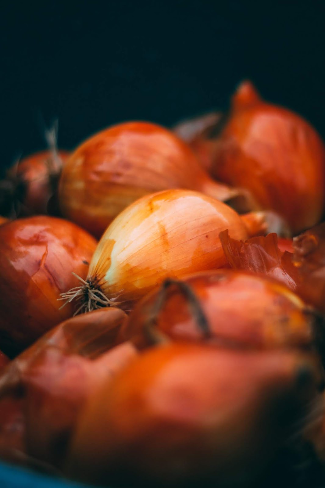 How To Use Onion Peels in your Garden?