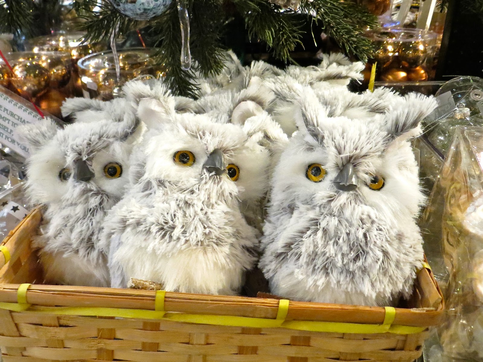 Curiouser and Curiouser The Tree Barn at Christmas Common