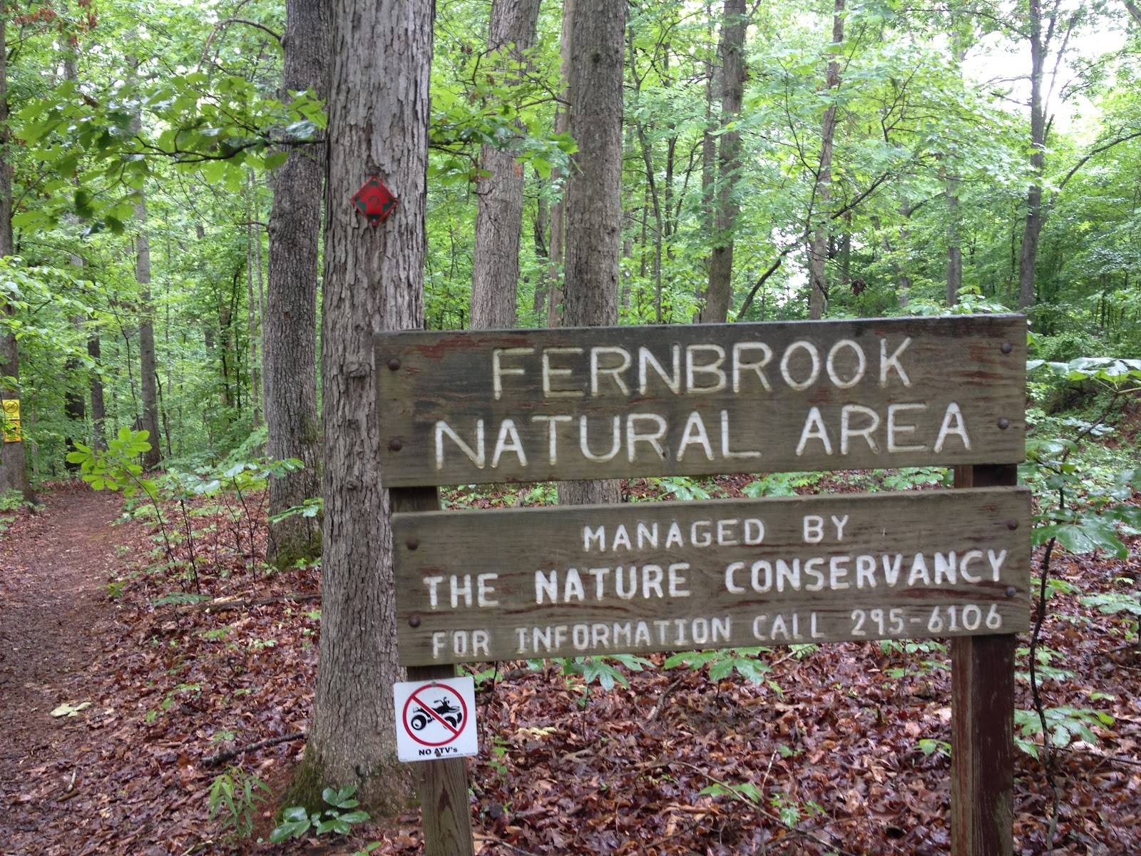 For the Earth Two Virginia forests to be added to the OldGrowth Forest Network