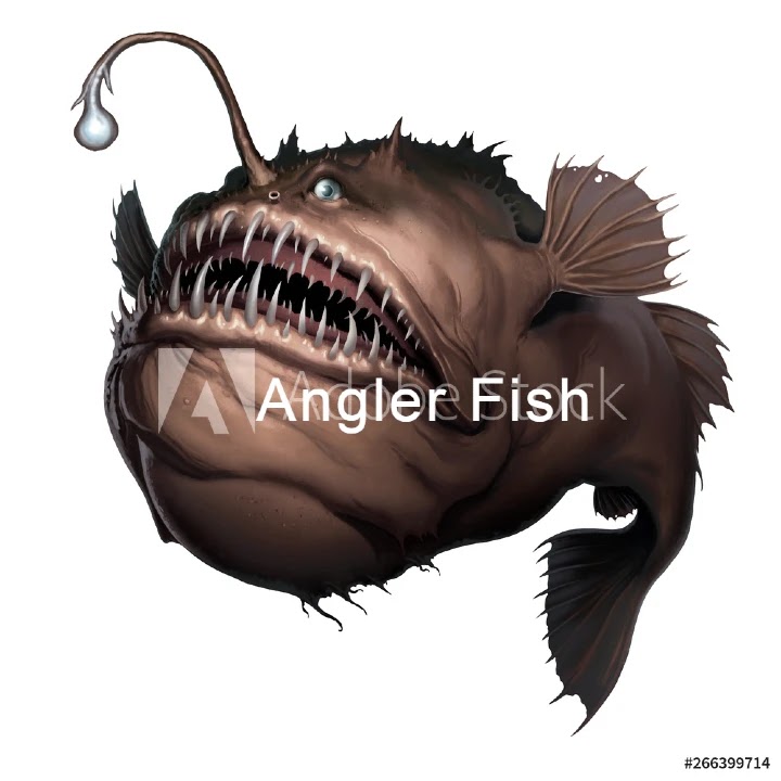 Angler fish