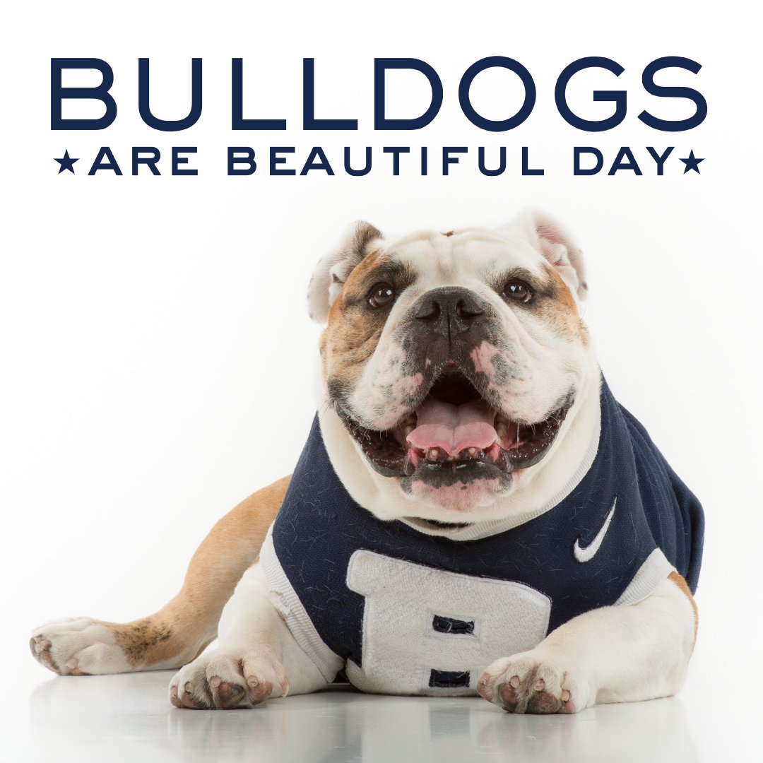 BPL Photo Challenge National Bulldogs are Beautiful Day Tuesday, April 21