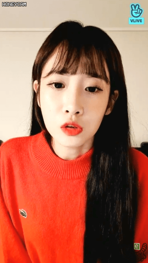 러블리즈 1일4쁘앱 빨간 아니 보라지애